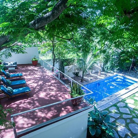 Villas Parota Inn 누에보 바야르타 외부 사진